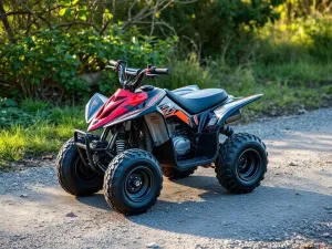 Mini quady